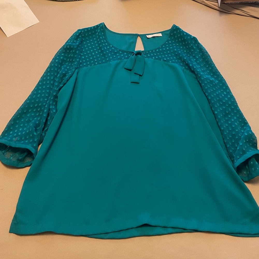 Hinge turquoise blouse. Polka dot details on the sleeves. Size medium.
